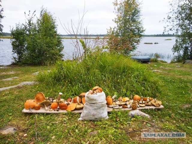 Отпуск в Карелии 2013
