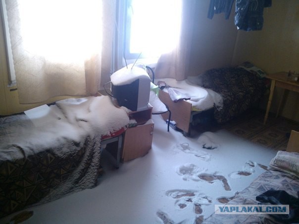 Проветрил комнату