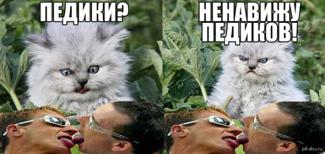 Государственная гомофобия Российской Федерации