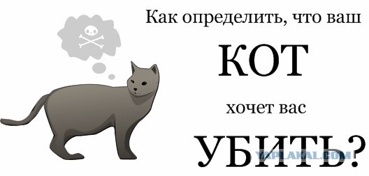 Сосед