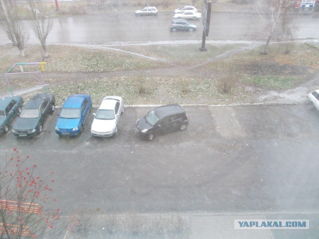 Образец быдла