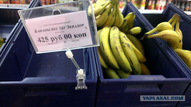 Цены в магазинах Диксона