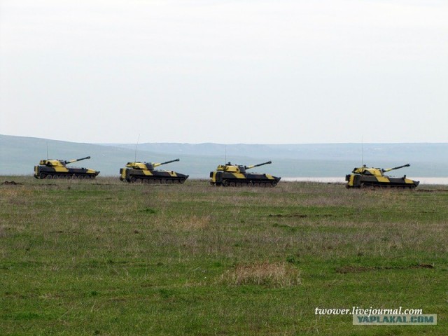 810-я отдельная бригада морской пехоты