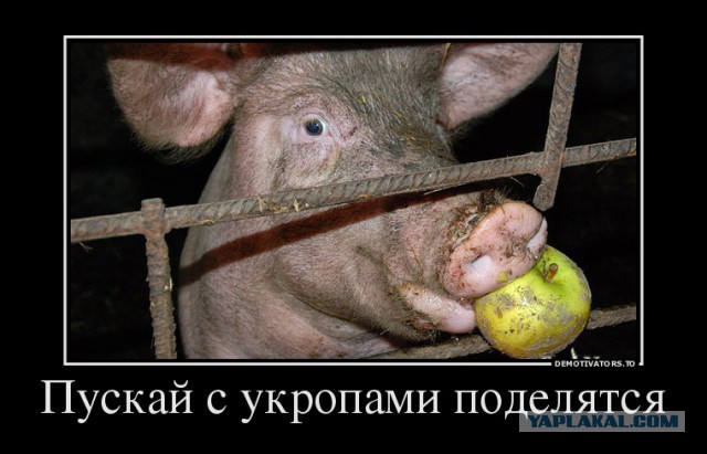 Поляки решили есть яблоки назло России
