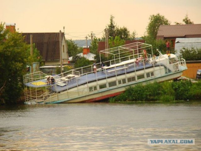 Очередные картинки и высказывания из сети