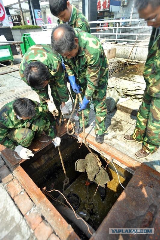 Канализационный колодец общественного туалета