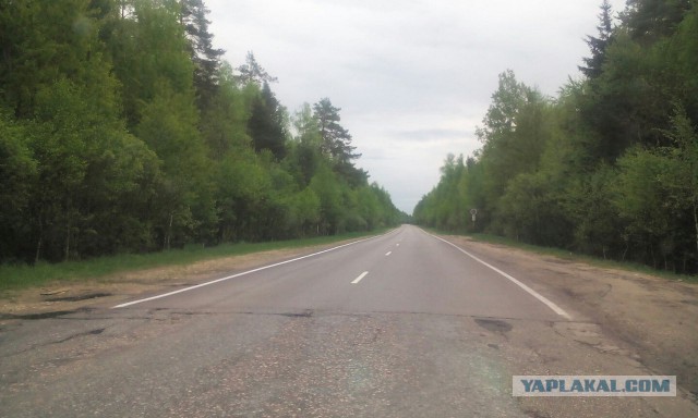 Ямы на дорогах Рязани украсили карикатурами