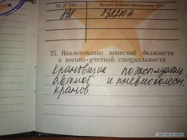 В случае войны буду служить процессором...