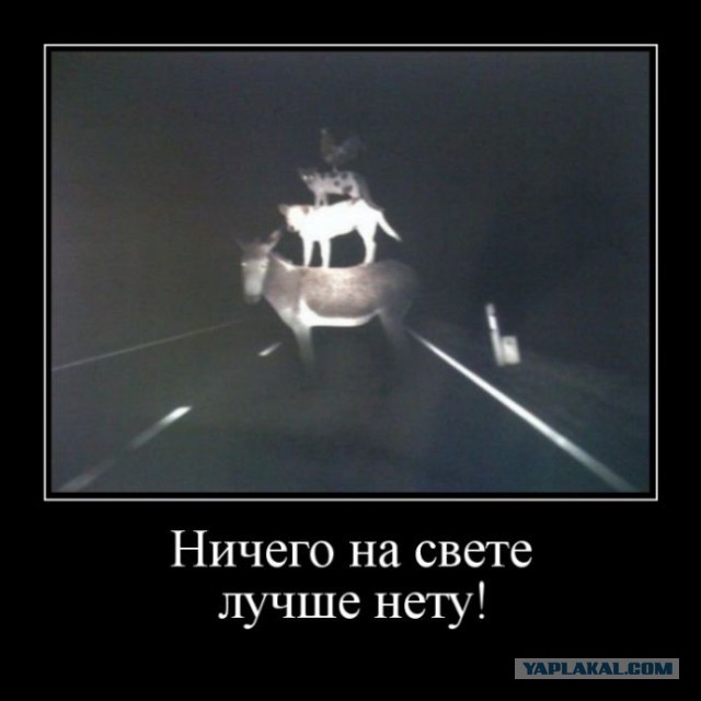 Подборка демотиваторов