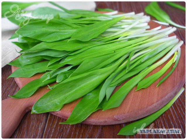 Модернизация базы для АПЛ на Камчатке в СМИ Запада