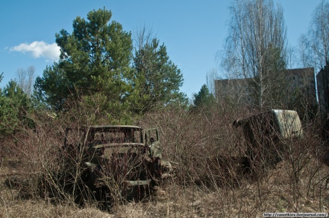 Чернобыльская зона. На задворках Припяти.