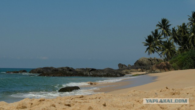 Самостоятельное путешествие в Шри-Ланку