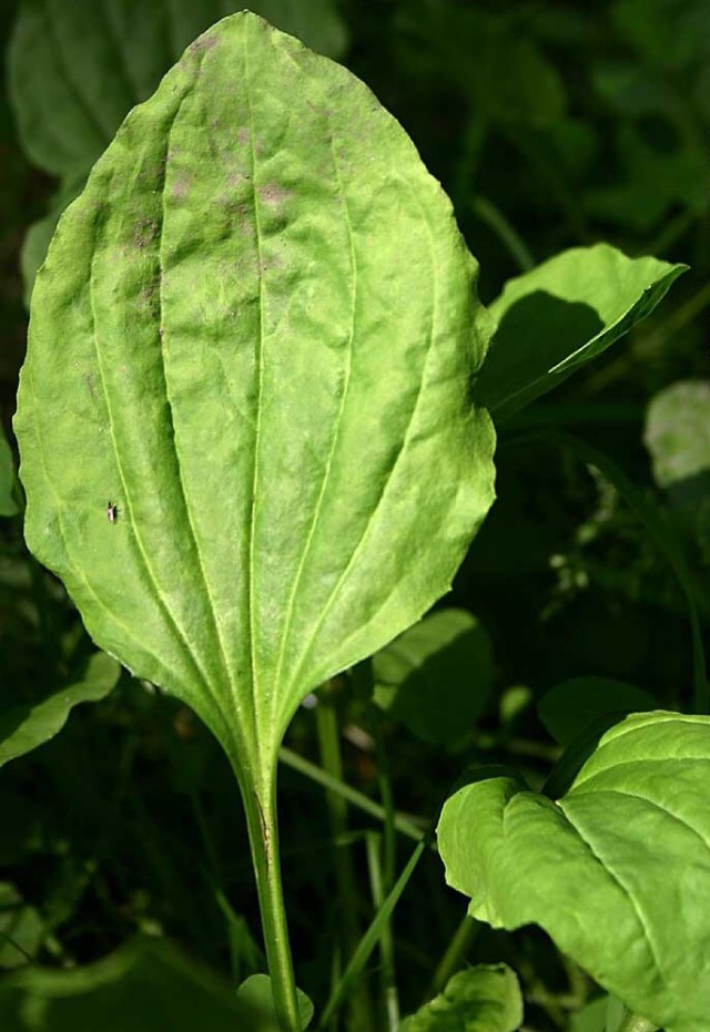 Самые красивые банкноты мира