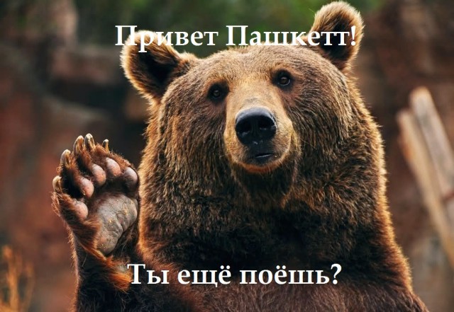 Подборка интересных и веселых картинок