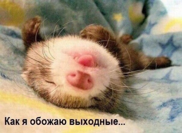 Смешные картинки