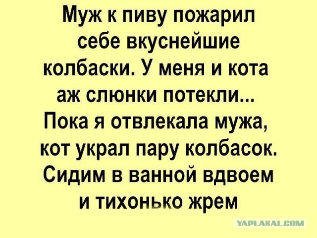 Приколы в стиле "регресс"