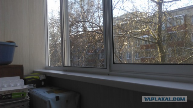 Предлагаем остекление и отделку балконов и лоджий в г. Москве и Московской области