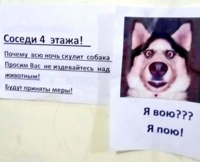 Подборка интересных и веселых картинок