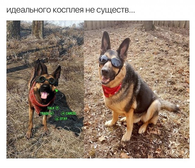 А вот и деградация подоспела. Ура, товарищи!
