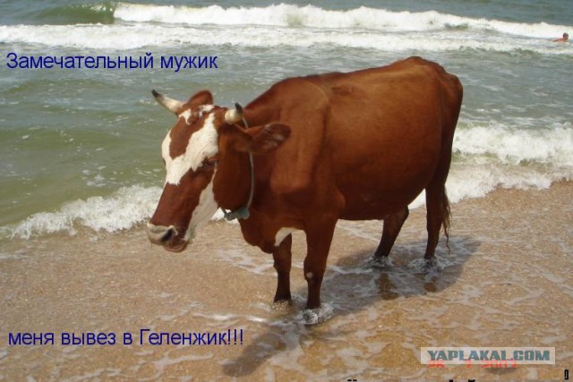 Зачем женщины ездят в Турцию?