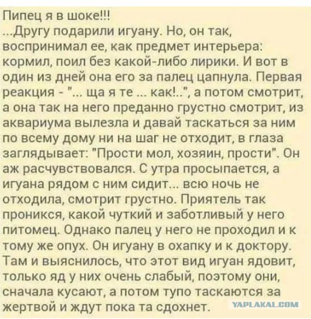 Смешные комментарии из социальных сетей 14.12.2018