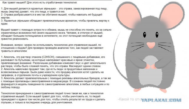 Картинки с надписями, истории и анекдоты