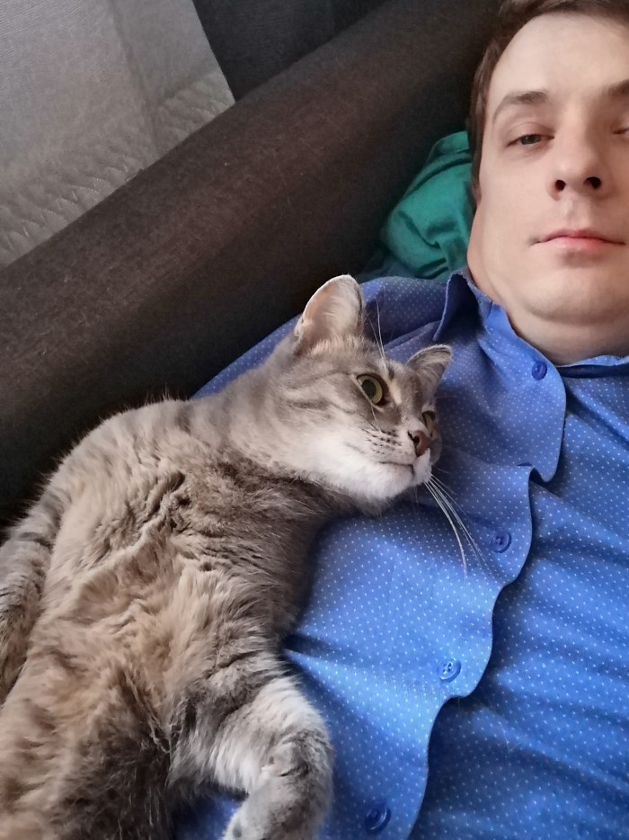 Котовторник 03.03.2020