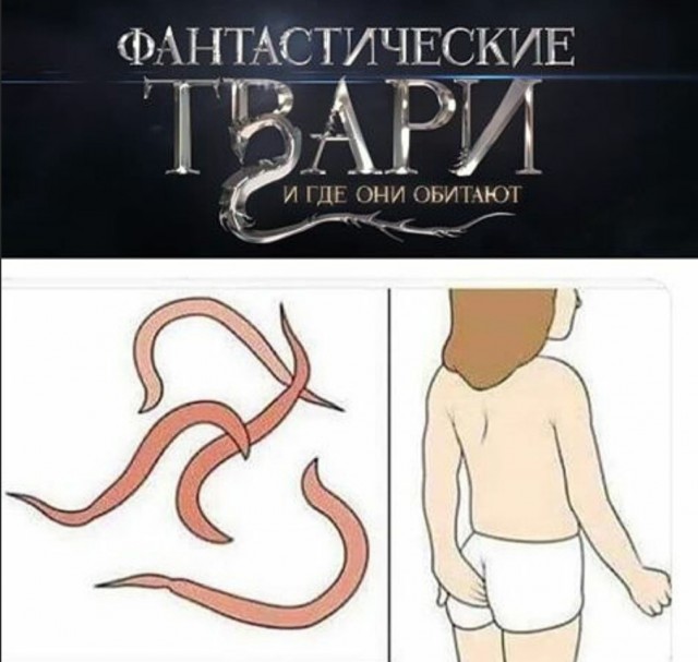 Бредзона 31.05.20