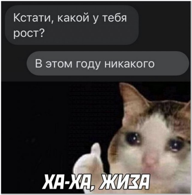 Картинки и мемы для настроения 029