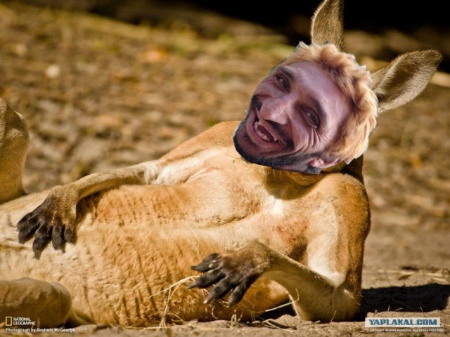 Фотожаба: И чего бы сейчас захотеть?