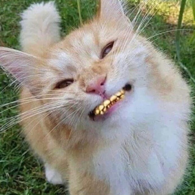 БлэкСаббат