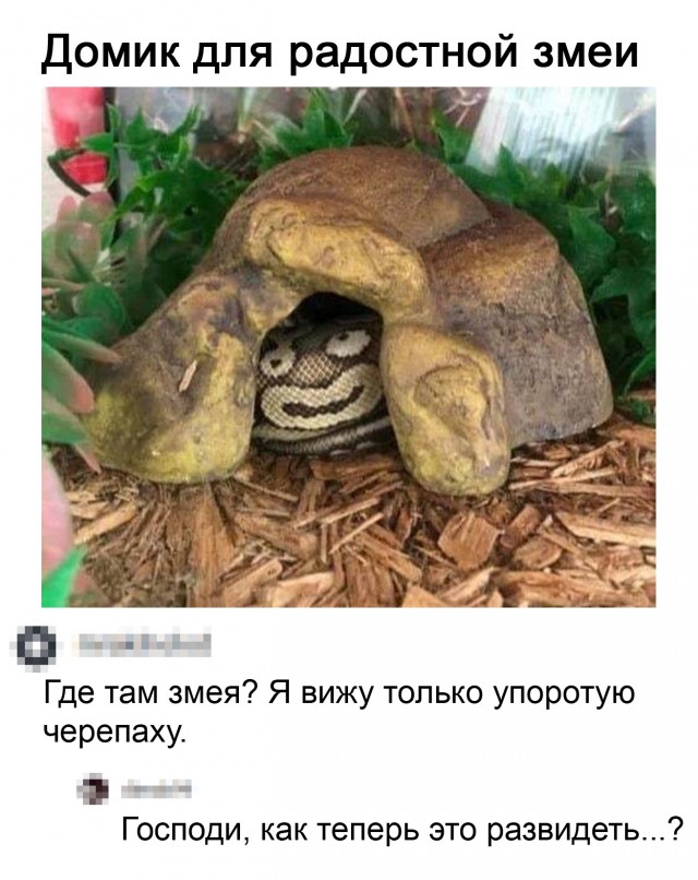 Картинки и мемы для настроения 016