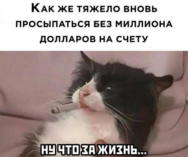 Весёлый полтишок 24.02
