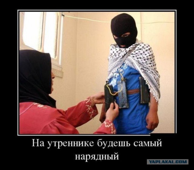 Вот во что превратила толерантность наши города!