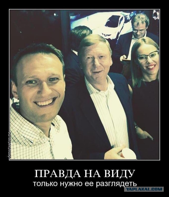 Волков объявил о роспуске сети штабов Навального