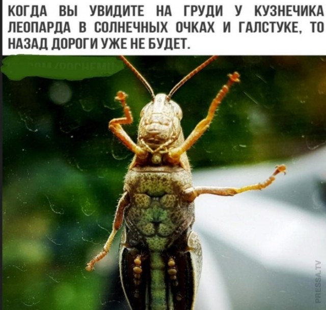 Картинки и мемы для настроения