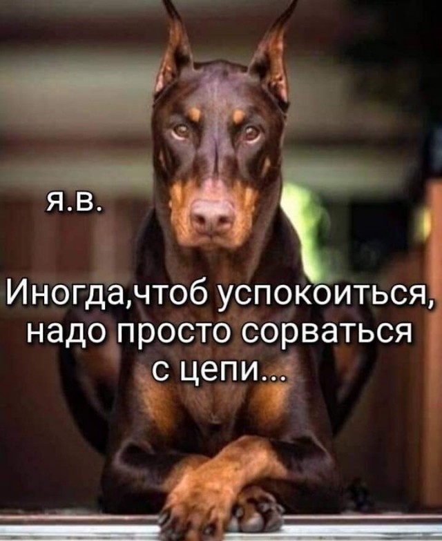 Баянисто-небаянистый юмор 14.05.21