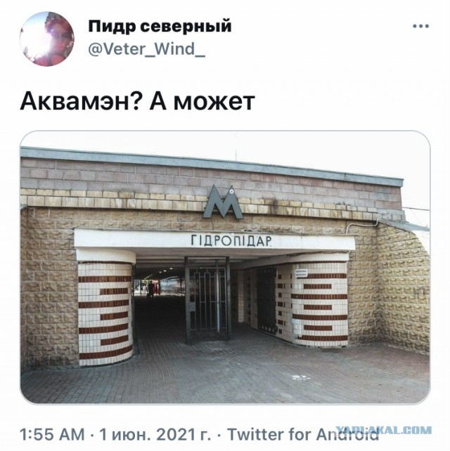 Гидросексуал