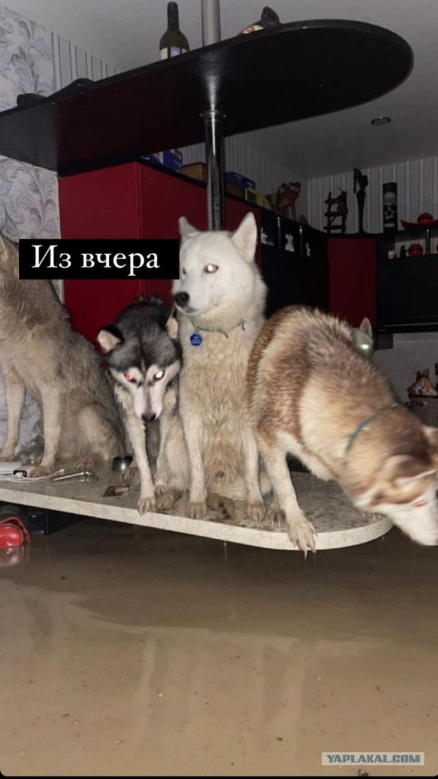 В Краснодарском крае люди со слезами на глазах показывают, что стало с их домами после наводнения