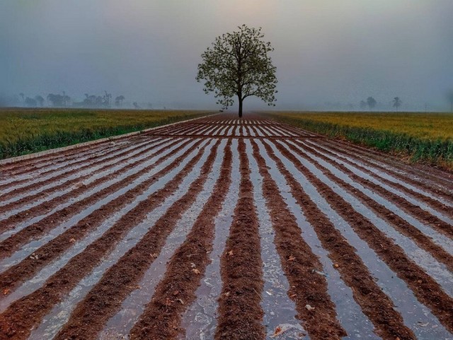 Картинки и мемы для настроения 05.08.2021