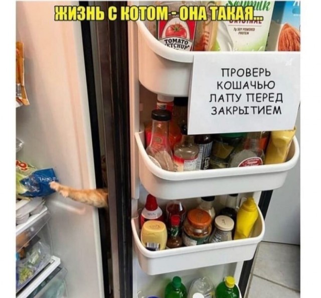 Так себе картинки 11.11.21