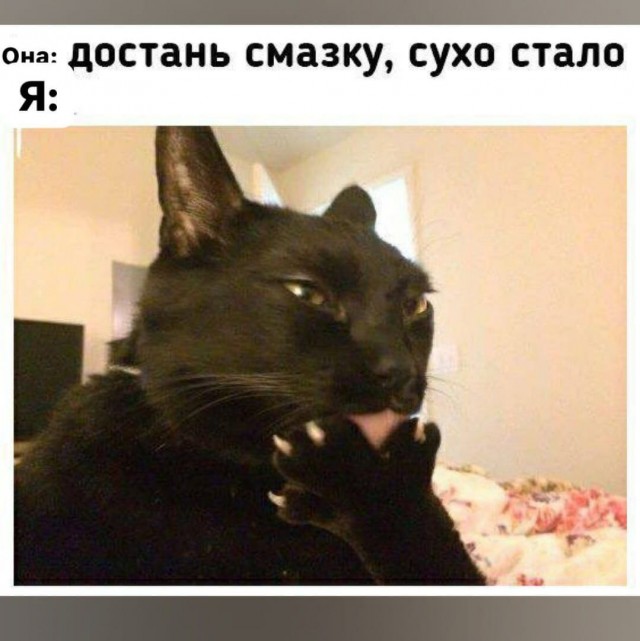 Картинки всякие и аморальные - 17