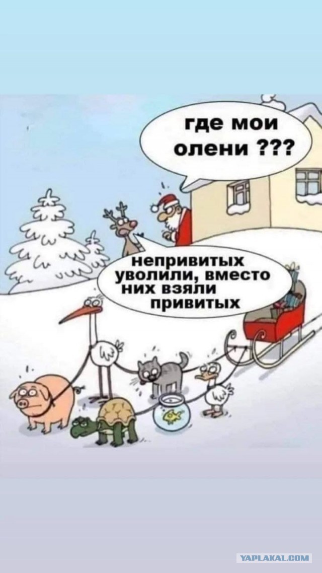 Пандемия. Коронавирус. Россия и мир. Часть 28