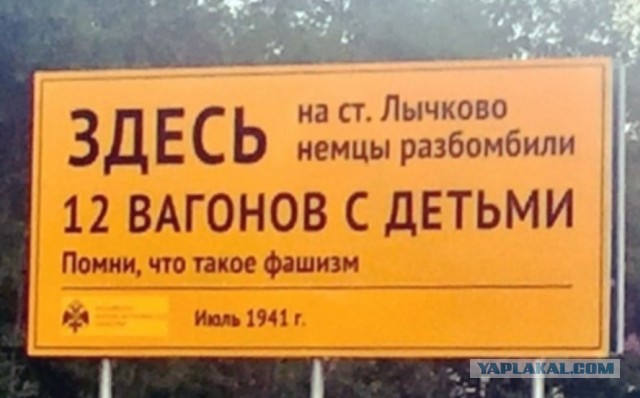 «Немцев тогда не захоронили, просто закопали, как собак»