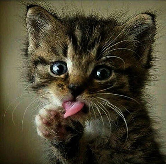 45 картинок разных 29.03.2022