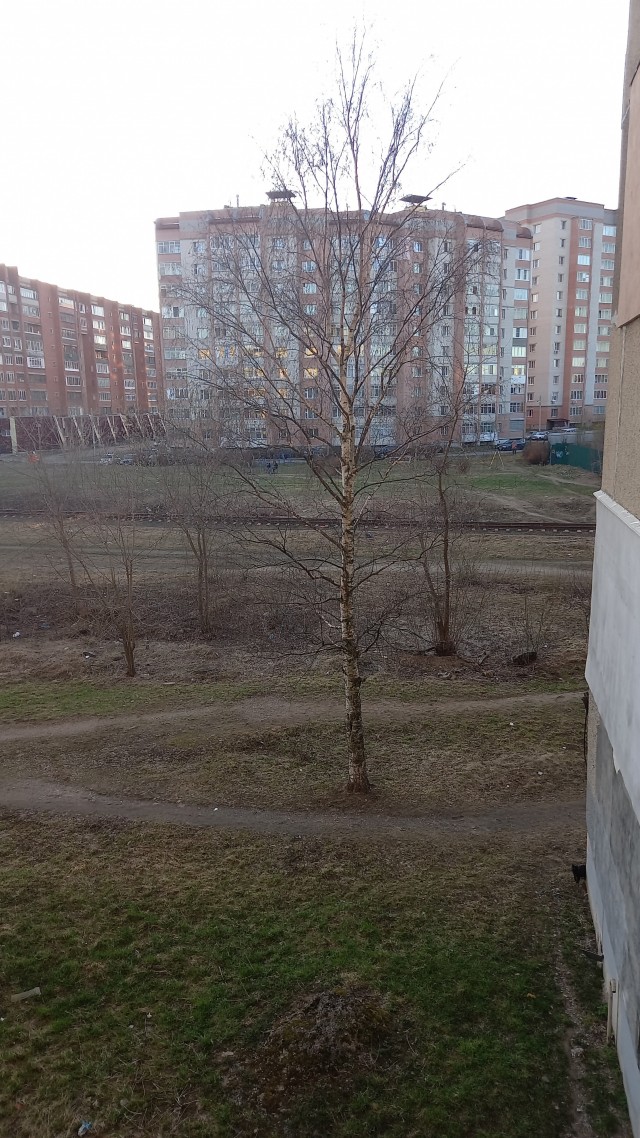 Так себе картинки 20.04.22