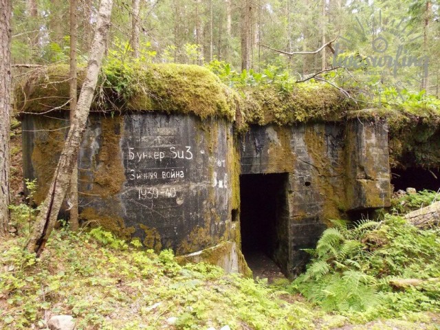 Финны приглашают