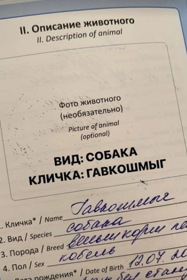 Так себе картинки 17.07.22