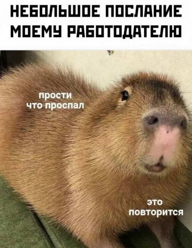 Картинки и мемы. Выходные близко, близко...