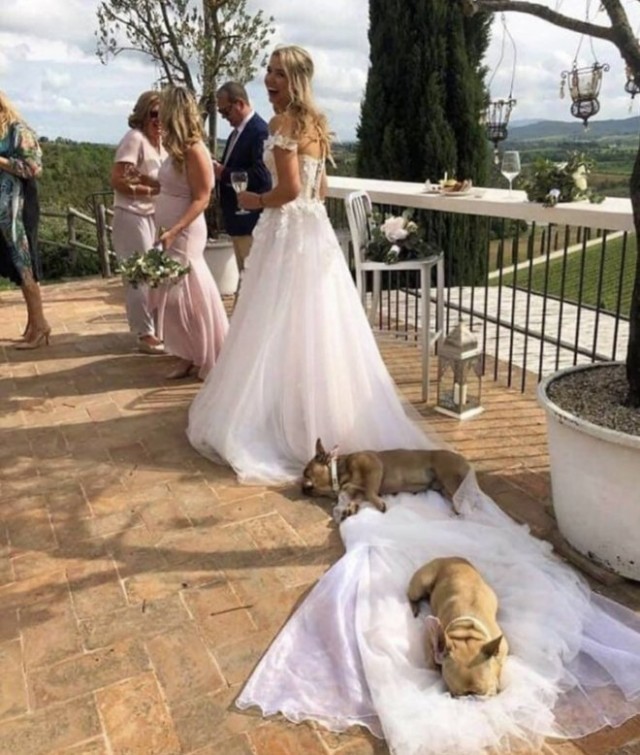 Подборка милых фото, для настроения